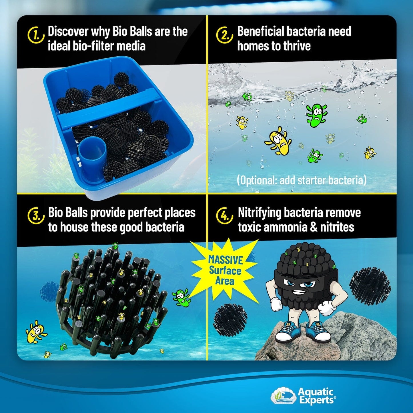nan coral frag – live coral frag | Gem State Corals