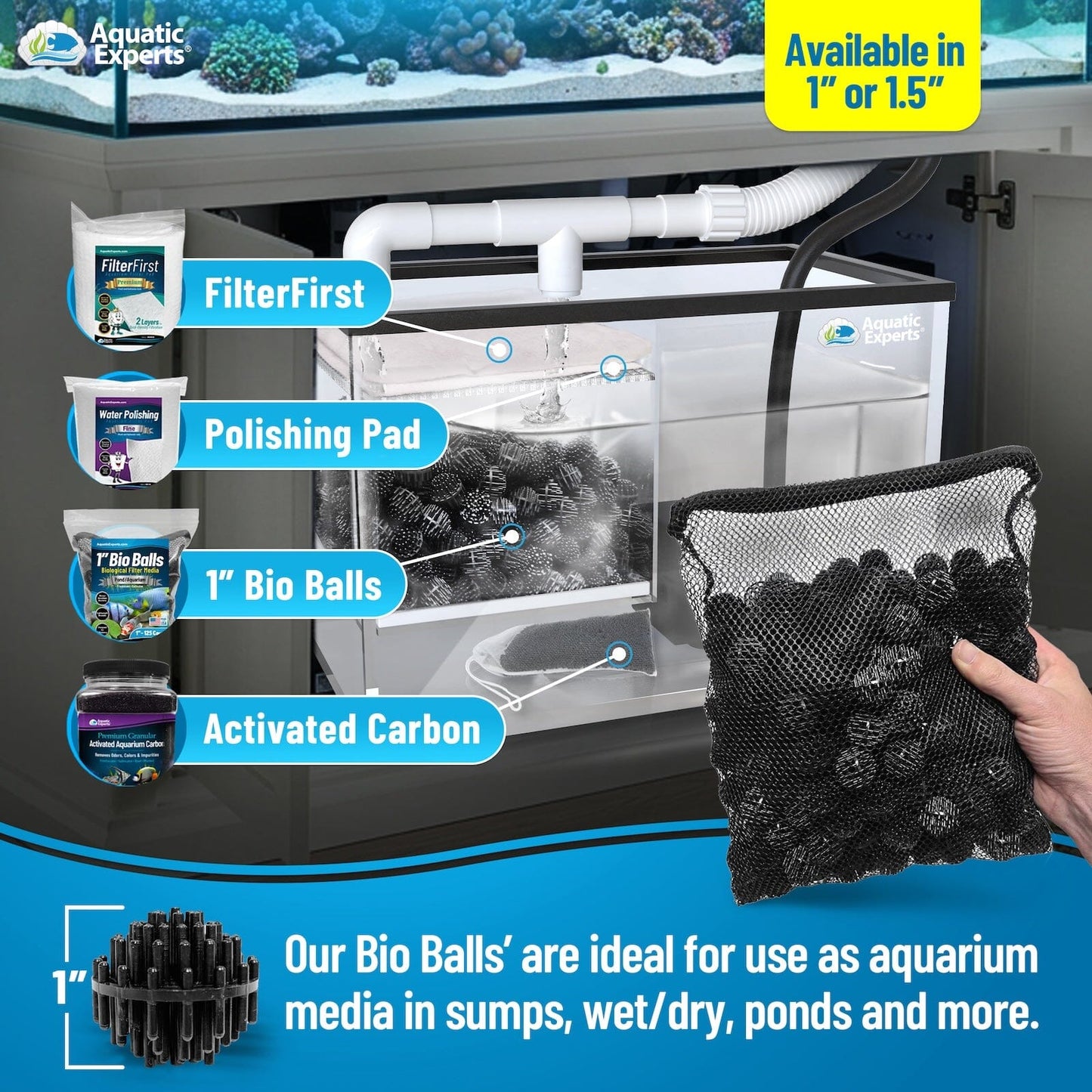 nan coral frag – live coral frag | Gem State Corals