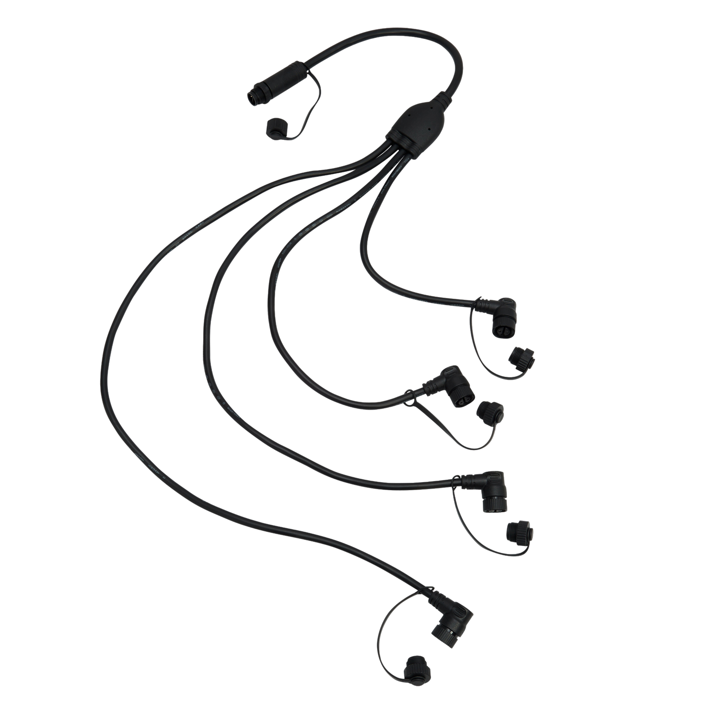Octo-Cable For Meridian Edge