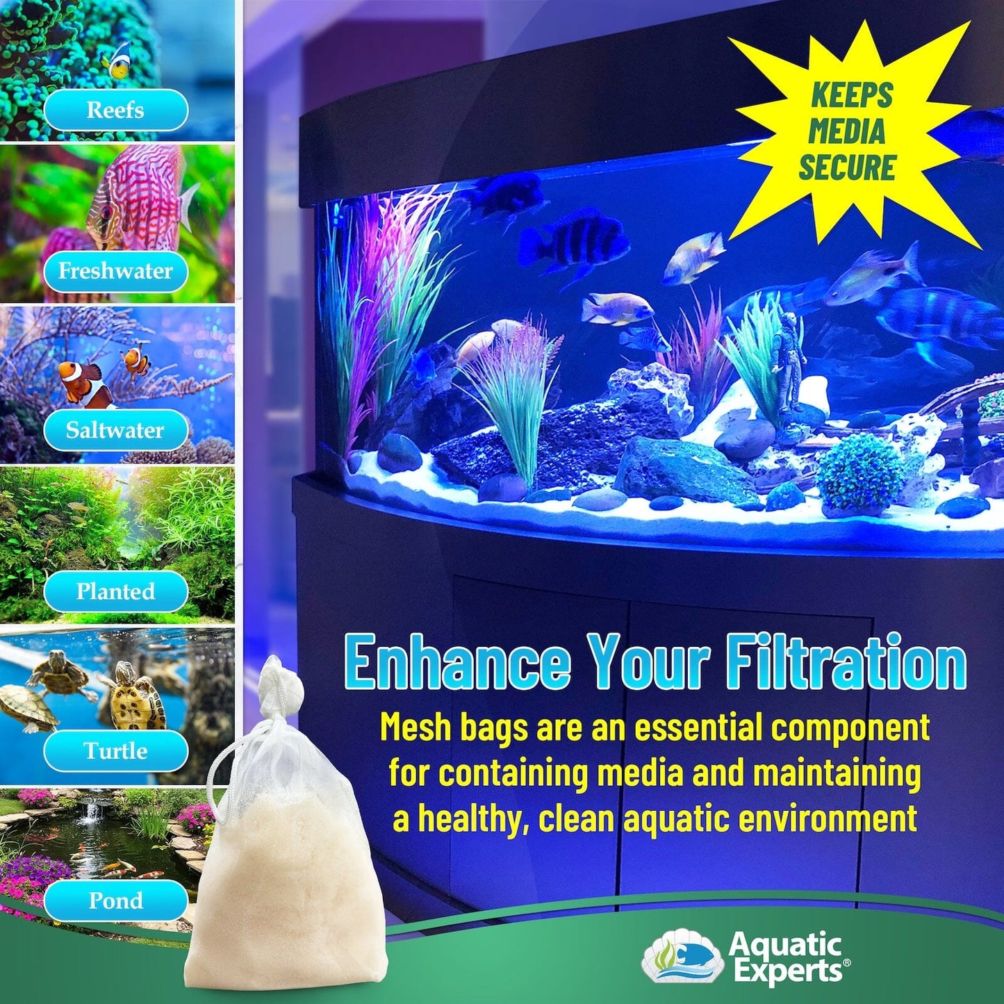 nan coral frag – live coral frag | Gem State Corals