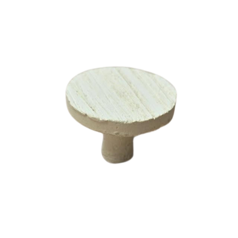 nan coral frag – live coral frag | Gem State Corals
