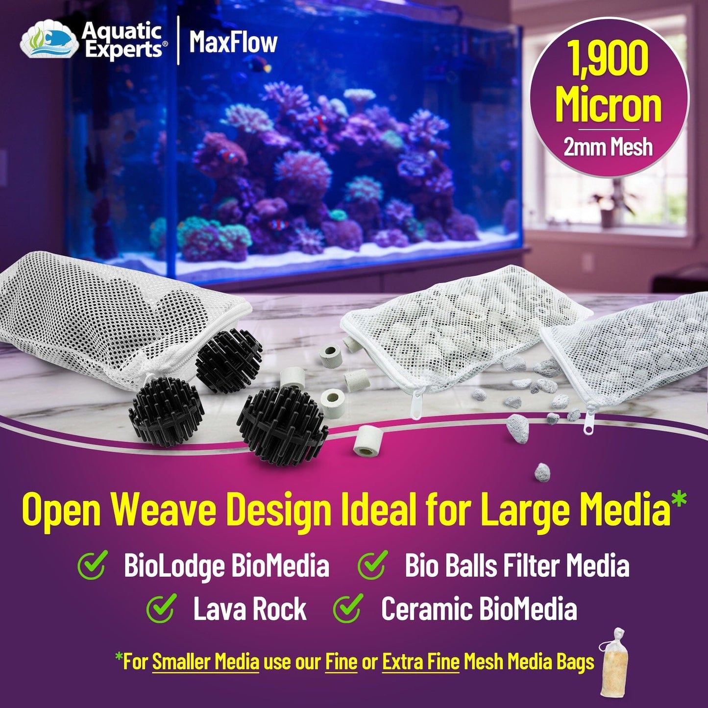 nan coral frag – live coral frag | Gem State Corals