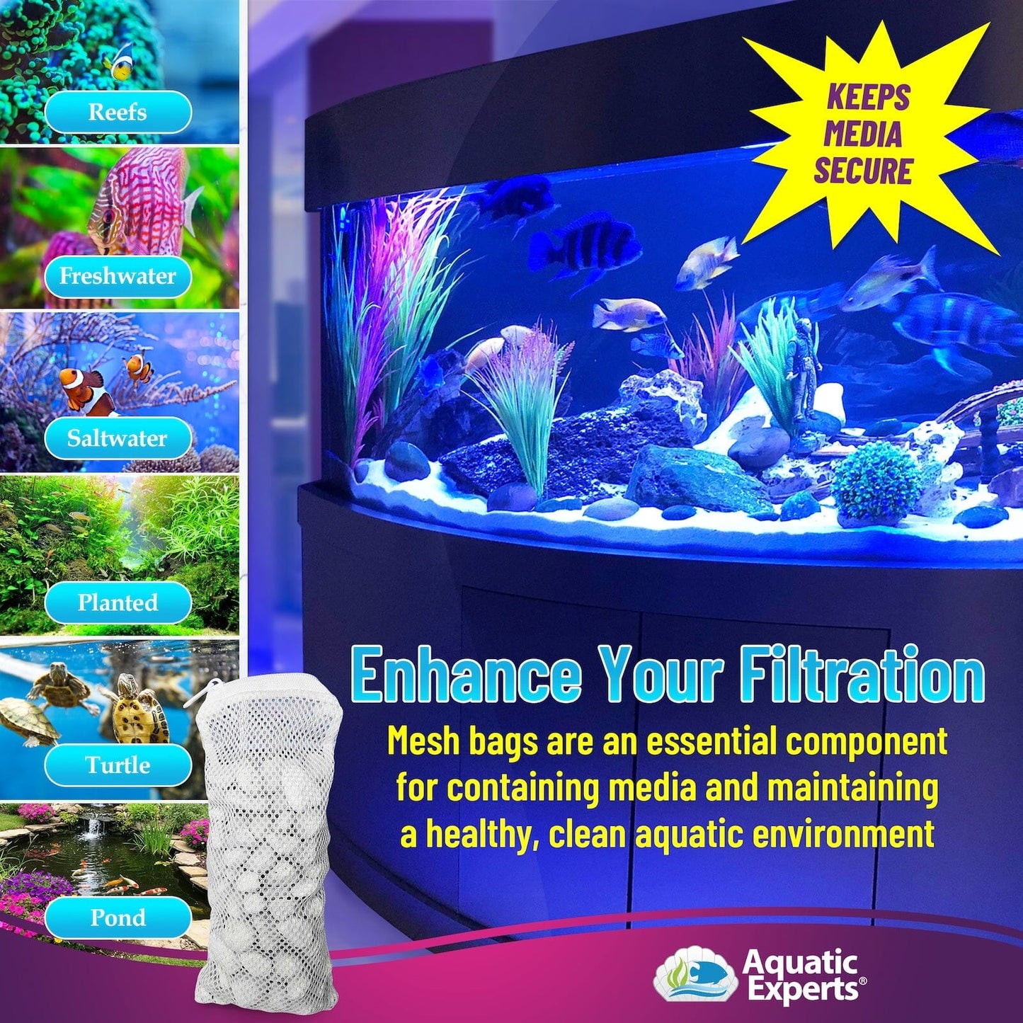 nan coral frag – live coral frag | Gem State Corals