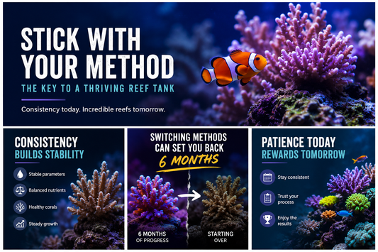 The #1 Reef Tank Mistake That Can Cost You 6 Months of Progress
