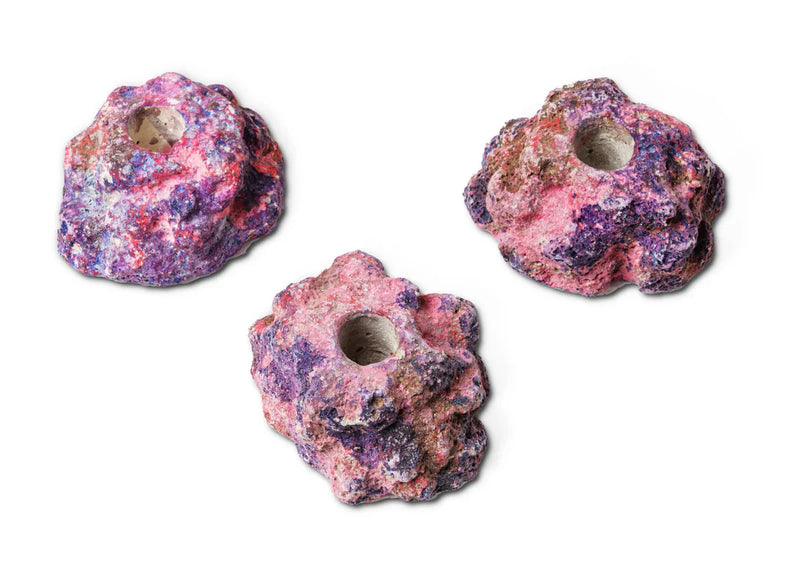 EcoRock Frag Holders