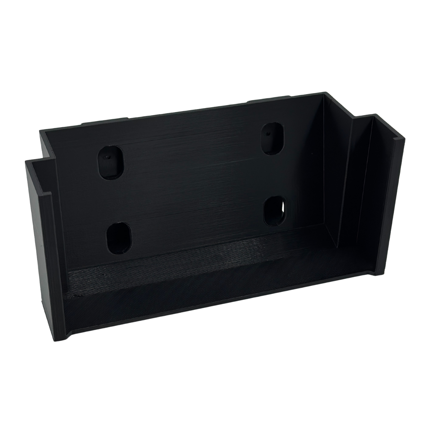 nan coral frag – live coral frag | Gem State Corals