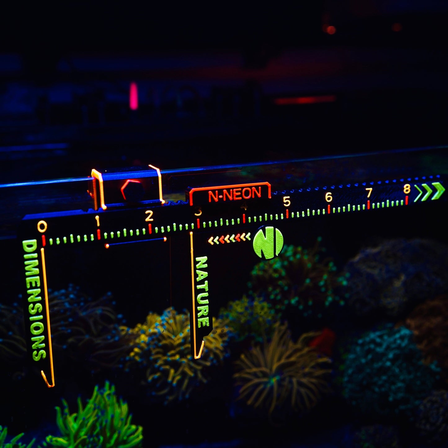 N-Neon Fluorescent Coral & Fish Caliper