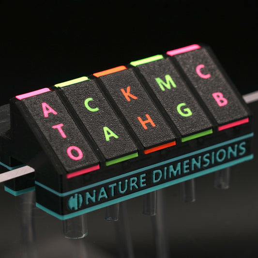 N-Neon Tubing Organizer