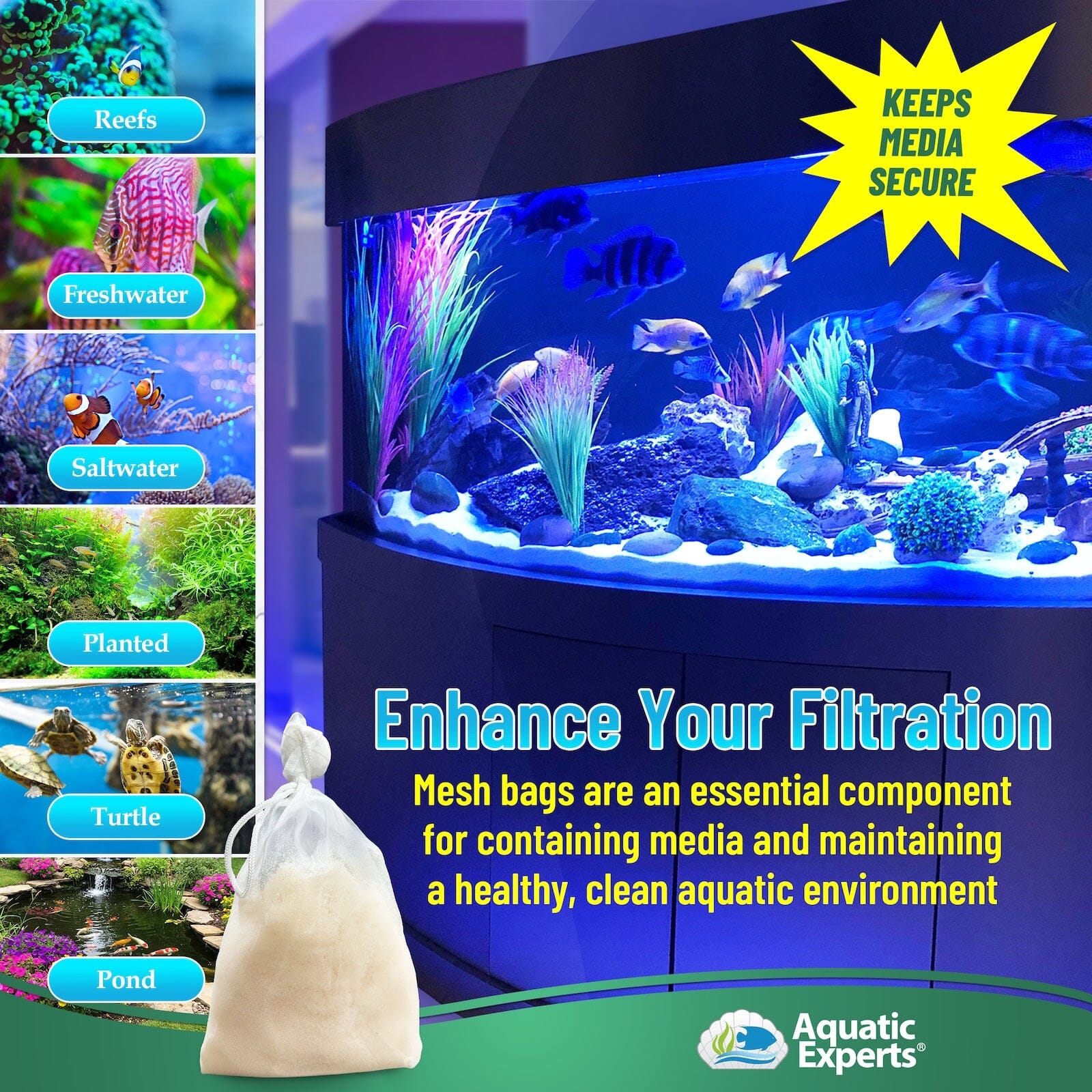 nan coral frag – live coral frag | Gem State Corals
