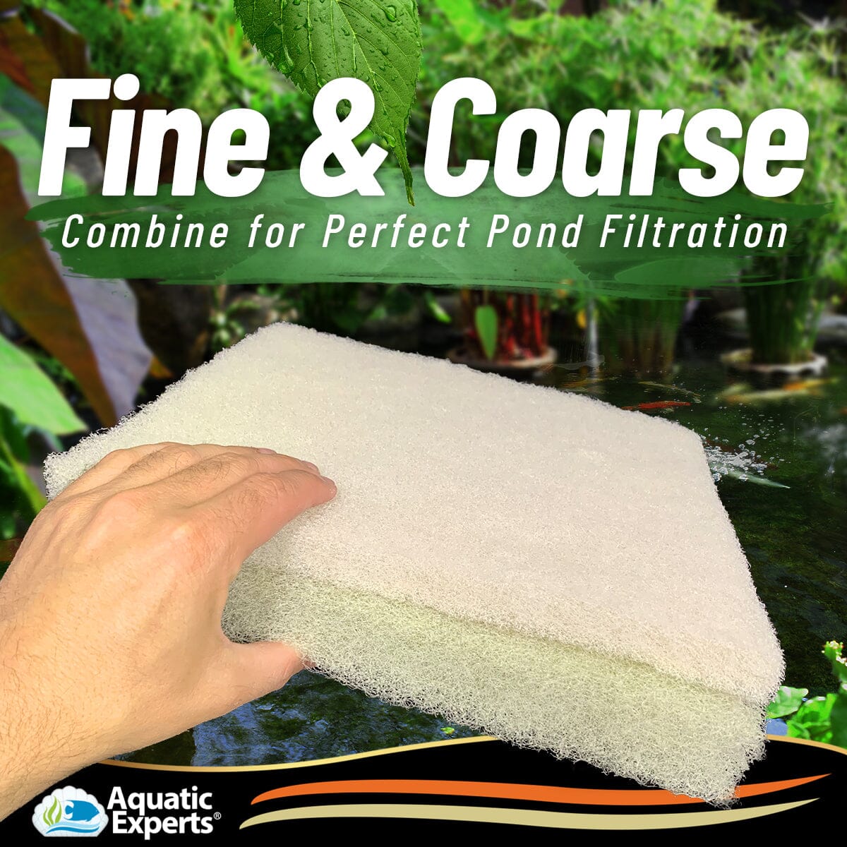 nan coral frag – live coral frag | Gem State Corals