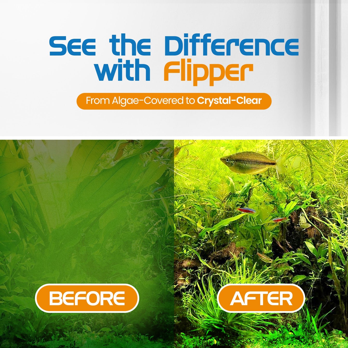 Flipper Platinum Aquarium Algae Scraper - 18"