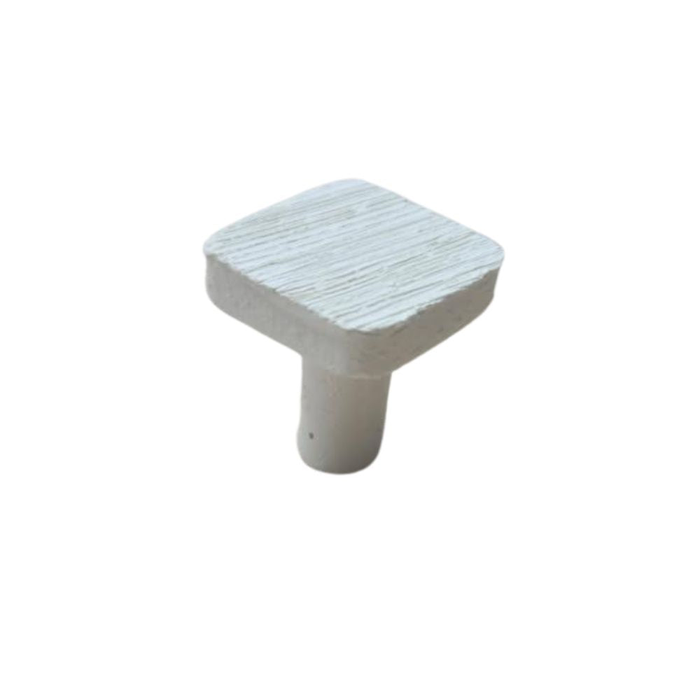 nan coral frag – live coral frag | Gem State Corals