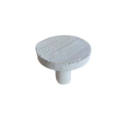 1⅛" Ceramic Frag Plug coral frag – live coral frag | Gem State Corals