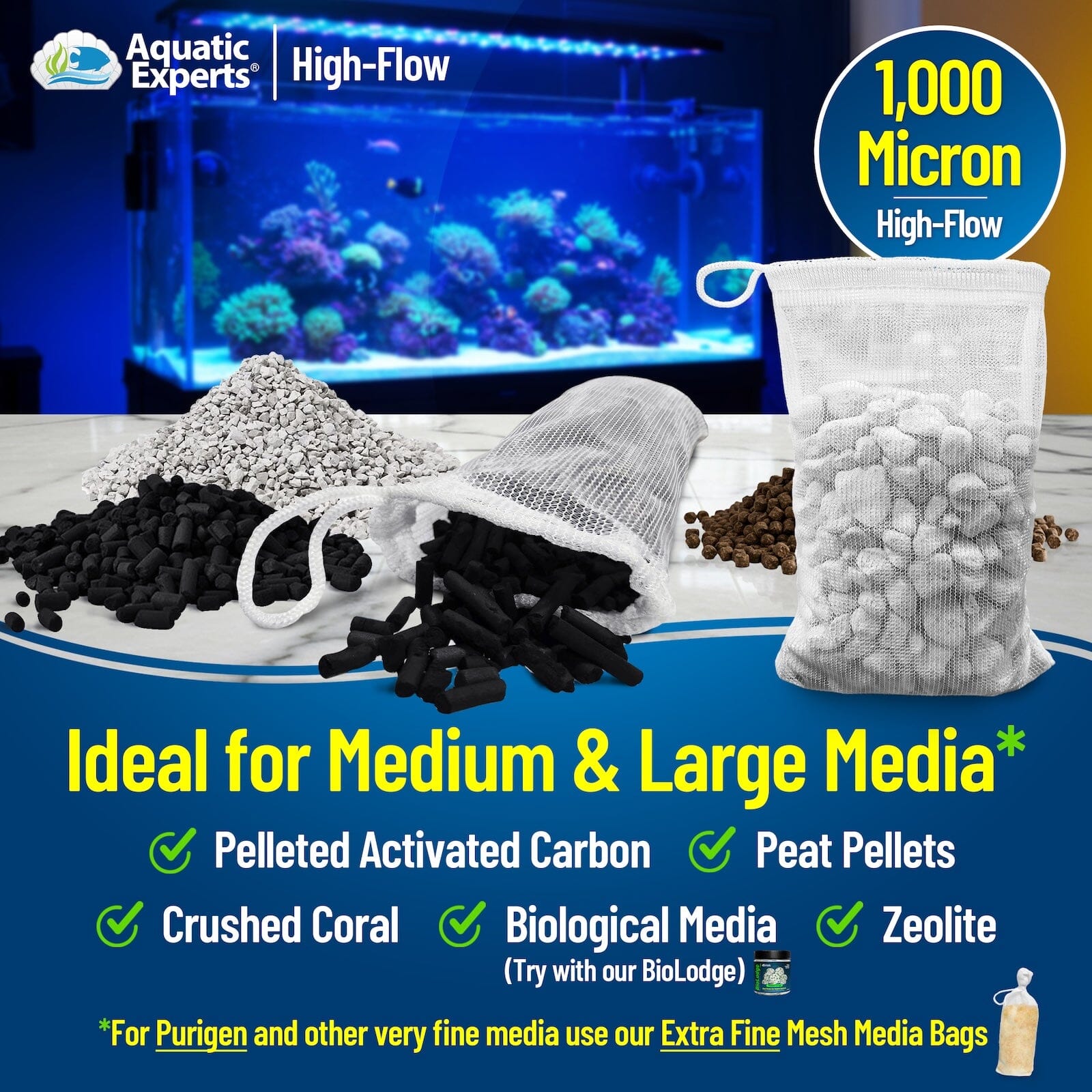 nan coral frag – live coral frag | Gem State Corals