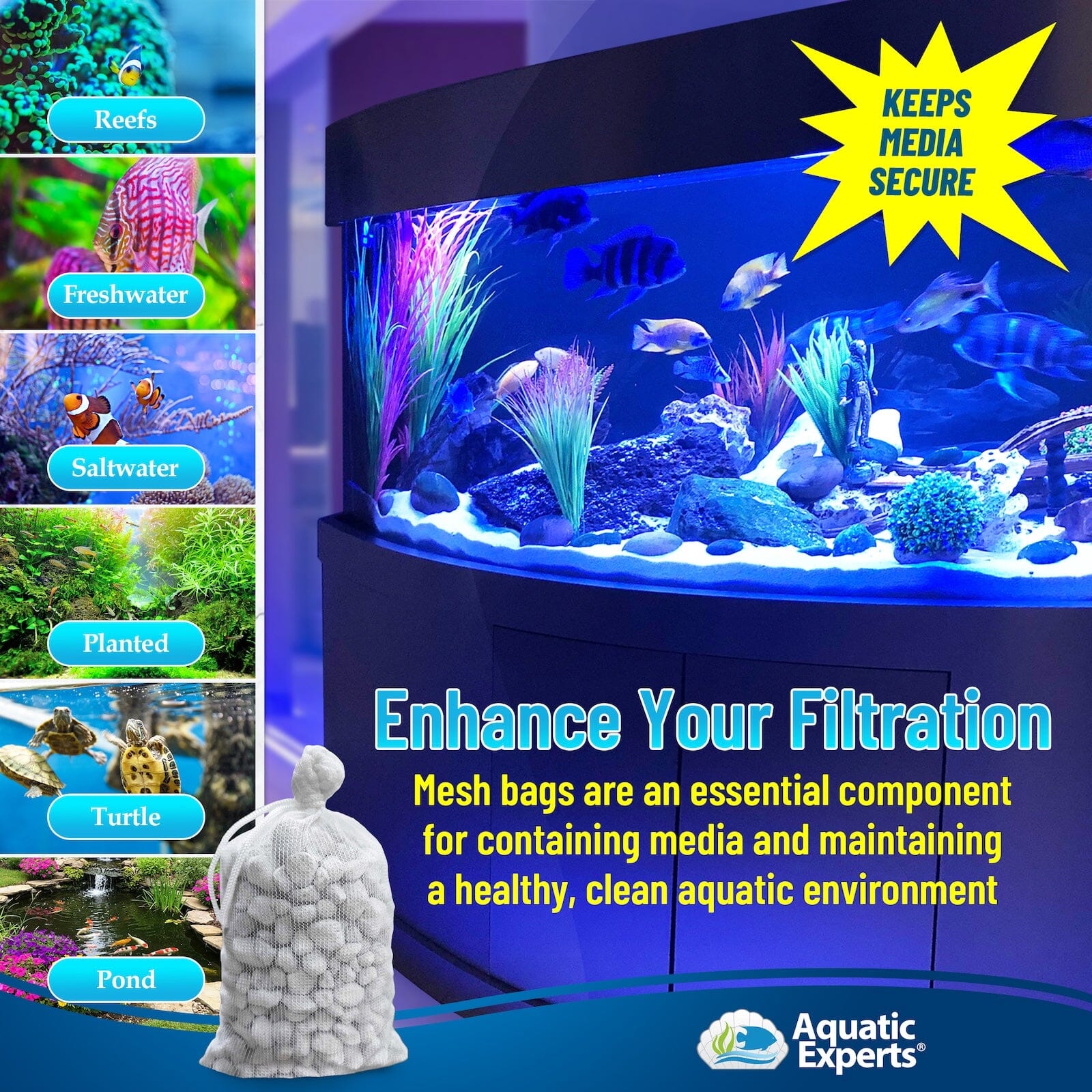 nan coral frag – live coral frag | Gem State Corals