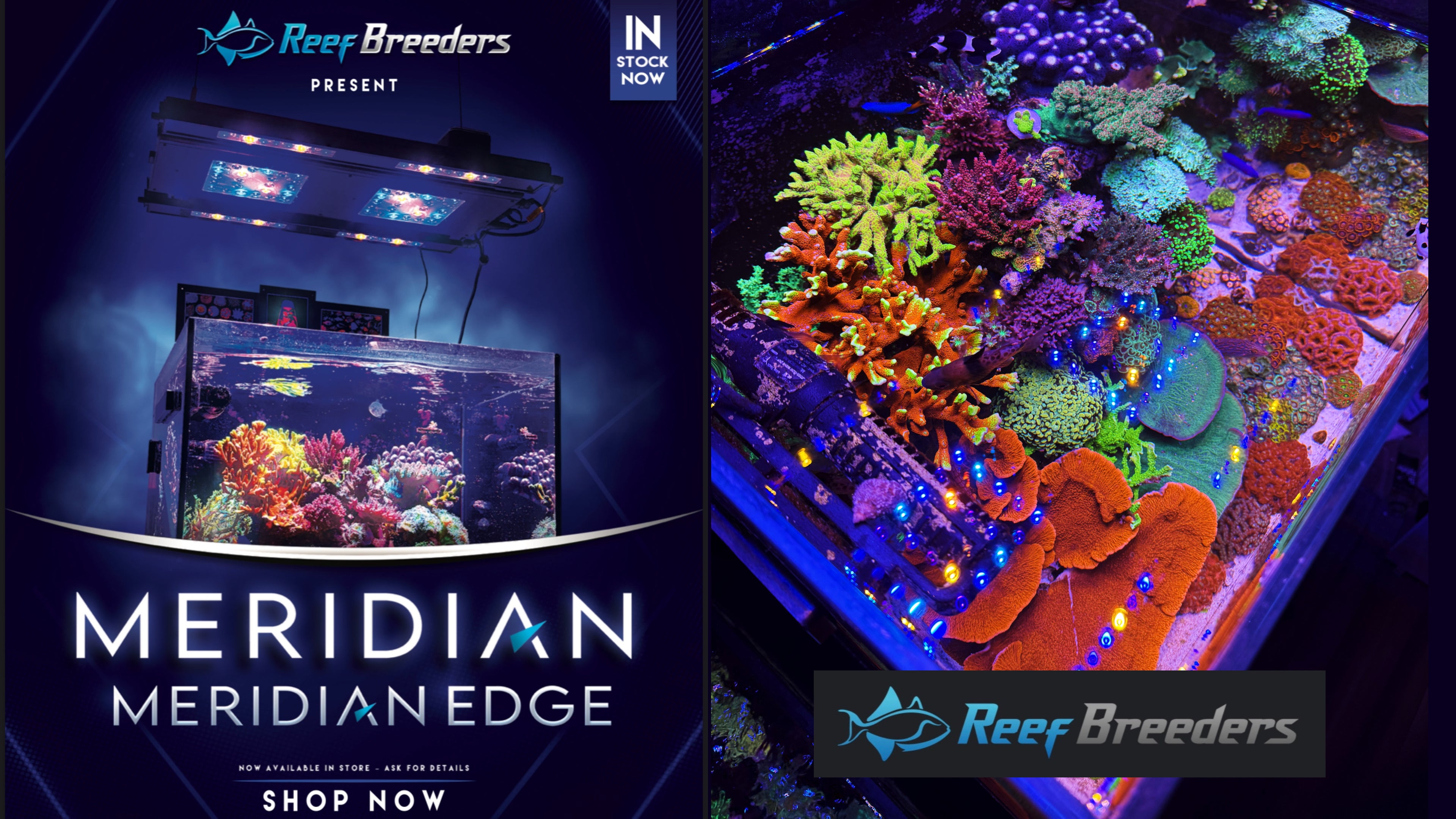 Load video: Reef Breeders Meridian LED Reef Light