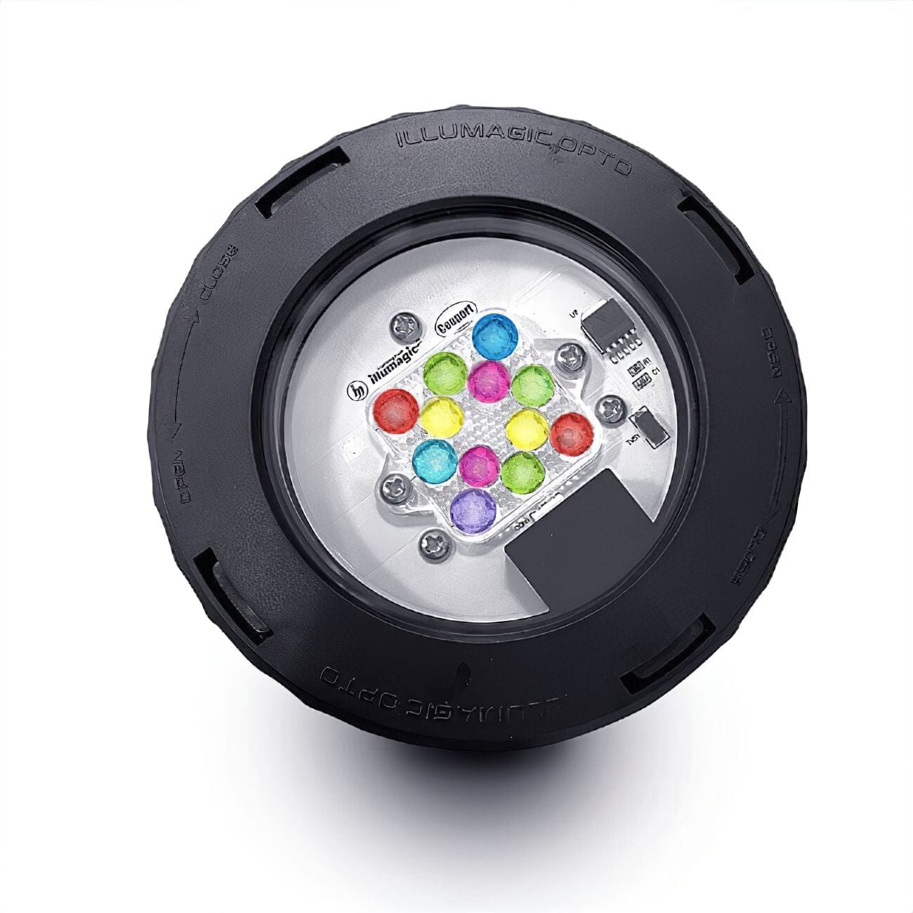 nan coral frag – live coral frag | Gem State Corals