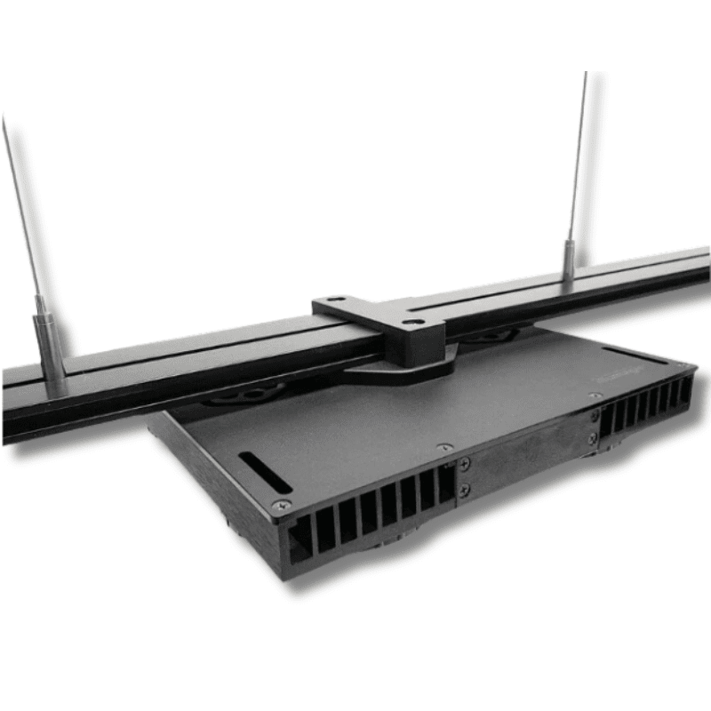 nan coral frag – live coral frag | Gem State Corals